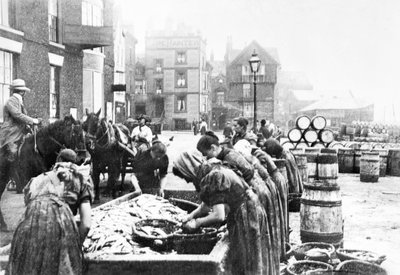 Birleşik Krallık : İskoç Ringa Olukları Scarborough