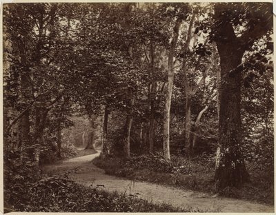 İsimsiz Manzara, 1860