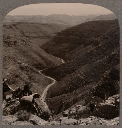 Arno Vadisi, çoban ve koyun ön planda, c1900 by Unbekannt