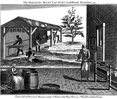 Tütün üretiminde çeşitli aşamalar, Virginia, ABD, 1750 by Unbekannt
