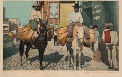 Sebze Adamlar, Havana, Küba, 1904 by Unbekannt