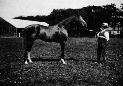 Victor Vahşi, 1911 by Unbekannt