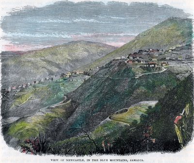 Newcastle manzarası, Mavi Dağlarda, Jamaika, c1880 by Unbekannt