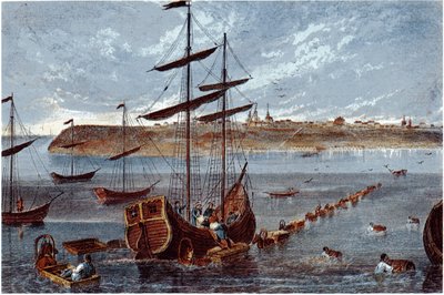 Taganrog