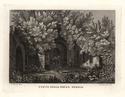 Perisi Egeria