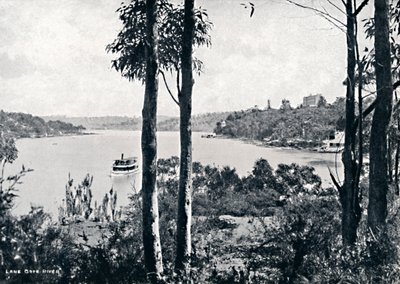 Lane Cove Nehri üzerinde görünüm, c1900. by Unbekannt