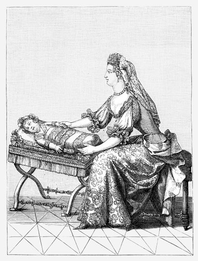 Anjou Dükünü Uyandırmak, 1885 by Unbekannt