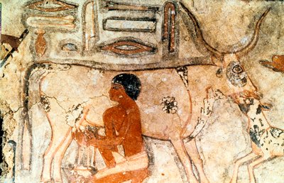 Methethi, Saqqara, Eski Mısır, Eski Krallık, MÖ c2371-2350 mezarından duvar resmi by Unbekannt