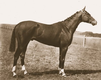 Rüzgar gülü, 1911. by Unbekannt