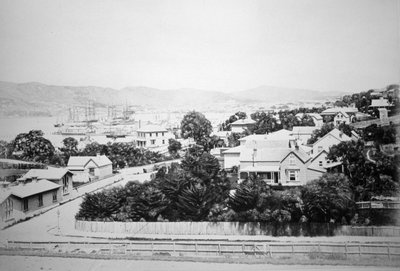 Wellington, Yeni Zelanda, 1875 by Unbekannt