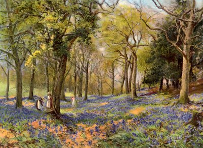 Surrey Koruluklarında Yabani Sümbüller, 1906 by Unbekannt