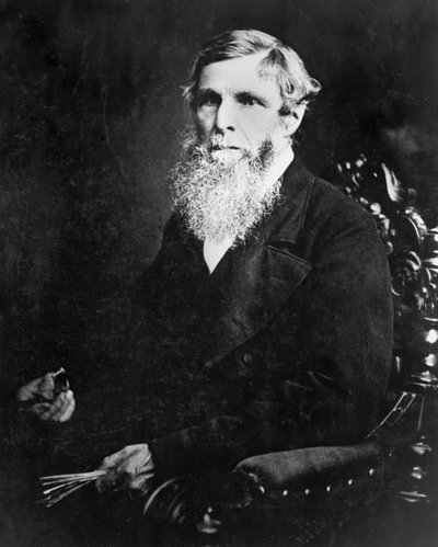 William Froude, İngiliz mühendis ve deniz mimarı, c 1870 by Unbekannt