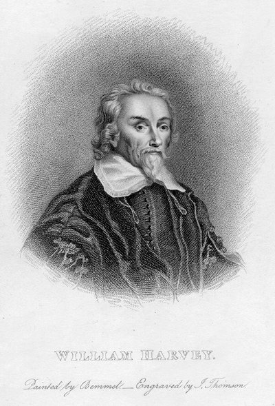 William Harvey 1578-1657 İngiliz doktor, c17. yüzyıl by Unbekannt