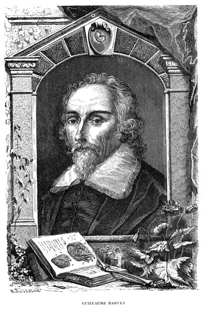 William Harvey 1578-1657 İngiliz doktor, c17. yüzyıl by Unbekannt