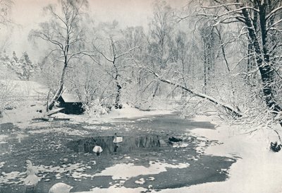 Skansen