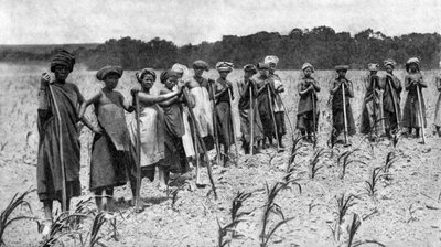 Mısır tarlasını çapalayan kadınlar, Güney Afrika, c1923 by Unbekannt