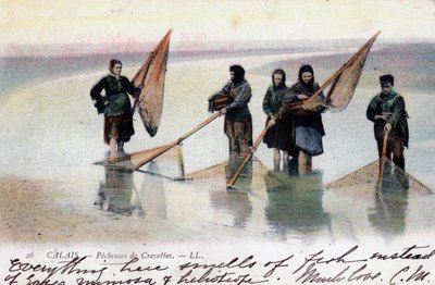 Kadın karides balıkçıları, Calais, 1905 by Unbekannt