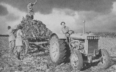 Kadın Kara Ordusu ekin kaldırıyor, İkinci Dünya Savaşı, 1940 by Unbekannt