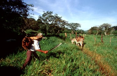 Ixtlan de Juarez, Oaxaca, Meksika