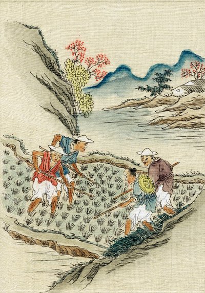Bir çeltik tarlasında pirinç yetiştiren işçiler, 19. yüzyıl by Unbekannt