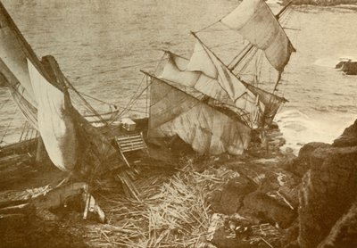 Kertenkele üzerinde harap, c1930. by Unbekannt