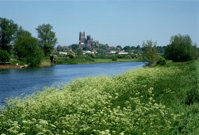 Ely Katedrali ve Ouse Nehri by Unbekannt Unbekannt