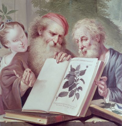 Hortus Cliffortianus
