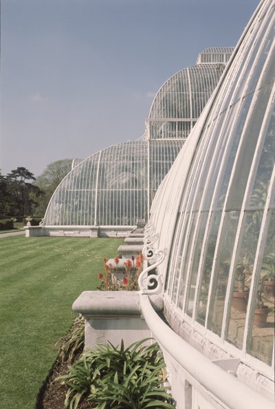 Decimus Burton tarafından tasarlanan Palmiye Evi Bölümü, 1800-81 by Unbekannt Unbekannt