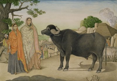 Rania köyünde iki köylü kadın ve bir bufalo, 1816 dolayları, Hint by Unbekannt Unbekannt