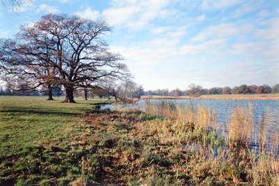 Göl manzarası, Corsham Court, Wiltshire by Unbekannt Unbekannt