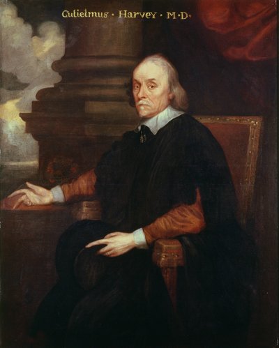 William Harvey (1578-1657) Kraliyet doktoru, 17. yüzyıl by Unbekannt Unbekannt