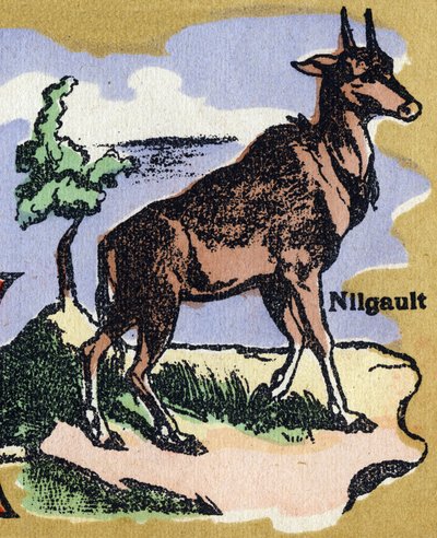 Bir Nilgault. Resimli alfabe. Görüntüler 20. yüzyılın başında Jarville-Nancy