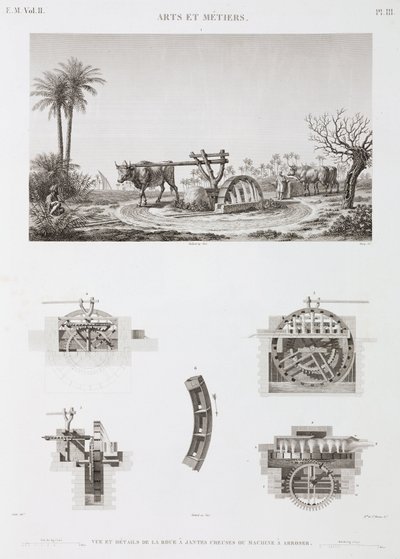 Animal Power Hayvan gücüyle çalışan sulama, Mısır, c 1798 by Unbekannt