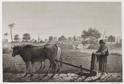 Tarla Tarımı, Çiftçilik Öküzlü Çiftçilik, Mısır, c 1798 by Unbekannt