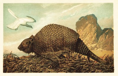 Archaeopteryx lithographica ve Panochthus tuberculatus.1908 (litografi) by Unbekannter Künstler