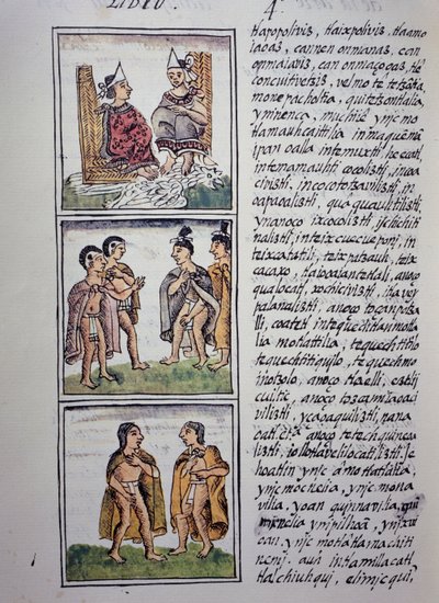 Aztek toplumu, Florentine Codex