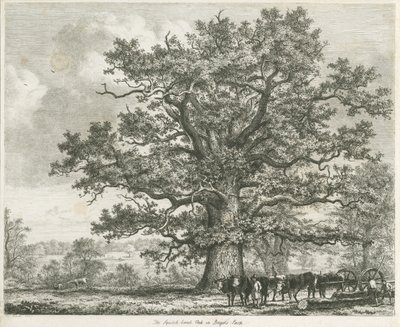 Blithfield - Squitch-bank Meşe : gravür, 1824 by Unbekannt