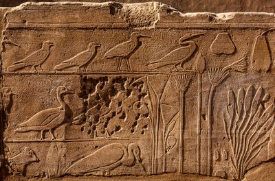 Bitki ve hayvanların kabartma tasvirleriyle Thutmosis III Botanik Bahçesi, Karnak Tapınağı, Luksor, Teb, Mısır, Afrika (fotoğraf) by Unbekannter Künstler