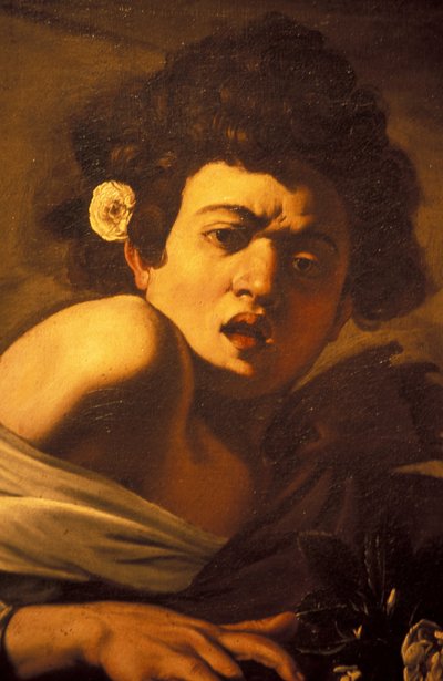 Kertenkele tarafından ısırılan çocuk (detay), Caravaggio sanat eseri, Palazzo Ducale, Cenova, Liguria, İtalya by Unbekannt