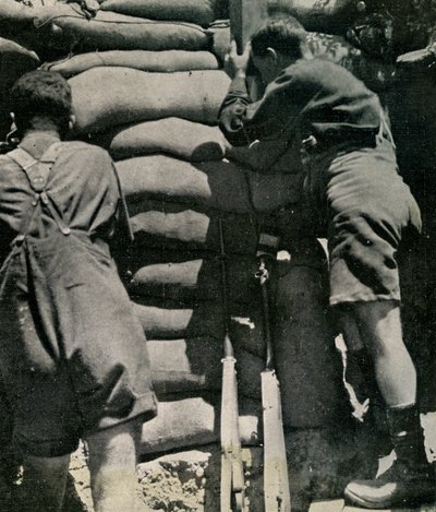 Gelibolu Yarımadası