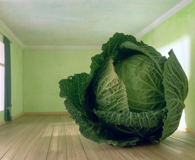 Lahana (Magritte'den sonra) by Unbekannter Künstler