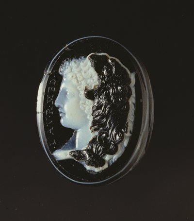 Herkül başkanının Cameo by Unbekannt
