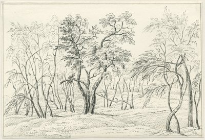 Cannock Chase: kalem ve karakalem, nd [?19th Century] by Unbekannt