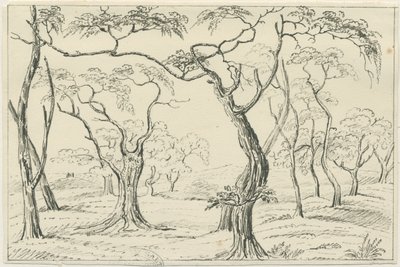 Cannock Chase: kalem ve karakalem, nd [?19th Century] by Unbekannt