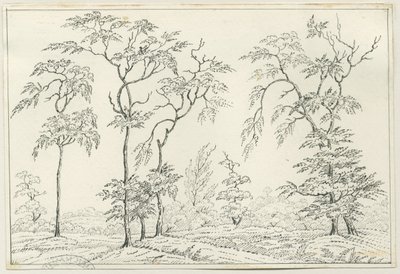 Cannock Chase: kalem ve karakalem, nd [?19th Century] by Unbekannt