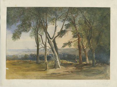 Cannock Chase: sulu boya, 1848 by Unbekannt