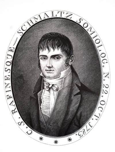 Konstantin Samuel Rafinesque. by Unbekannt
