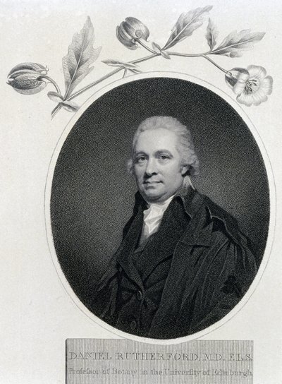 Daniel Rutherford, İskoç kimyager ve botanikçi, 19. yüzyılın başlarında by Unbekannt