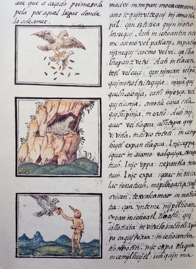 Eagles, Florentine Codex