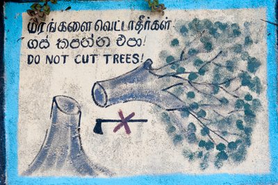 Çevresel koruma; boyalı işaret; “””Ağaçları kesmeyin”””””, kesilen bir ağacı ve üzeri çizili bir baltayı tasvir ediyor; Nuwara Eliya; Sri Lanka; Asya by Unbekannt